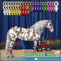 Horse Color:White Spotted Liver Red Dun Mushroom Appaloosa 