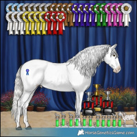 Horse Color:White Spotted Liver Red Dun Mushroom Appaloosa 
