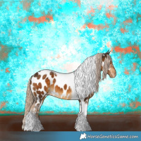 Horse Color:Chocolate Palomino Tobiano Near Leopard 