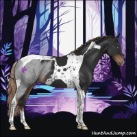 Horse Color:Liver Chestnut Tobiano 