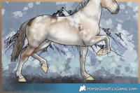 Horse Color:Gray White Spotted Liver Red Dun Tobiano 