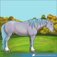 Horse Color:Watercolor Amber Champagne 