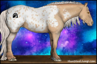 Horse Color:Silver Classic Champagne Sabino Appaloosa 
