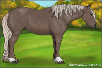 Horse Color:Silver Black 