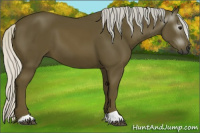 Horse Color:Gray Silver Smoky Black 