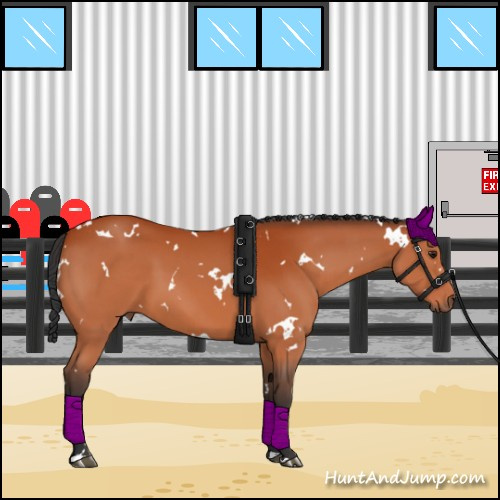 Horse Color:White Spotted Brown 