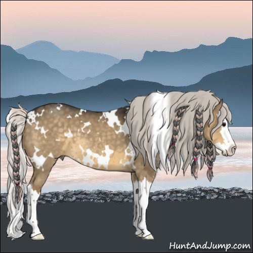 Horse Color:White Spotted Silver Smoky Grullo Splash 