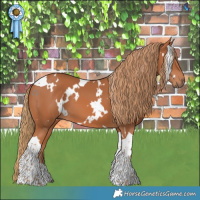 Horse Color:White Spotted Chestnut Tobiano 