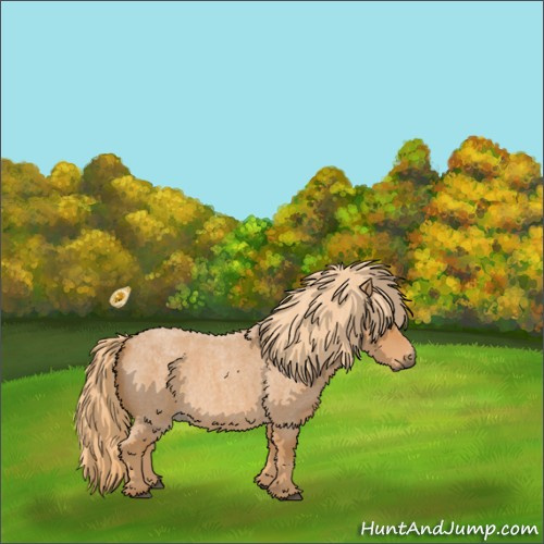 Horse Color:Red Roan 