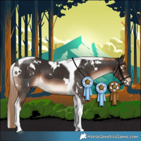 Horse Color:White Spotted Liver Chestnut Tobiano 