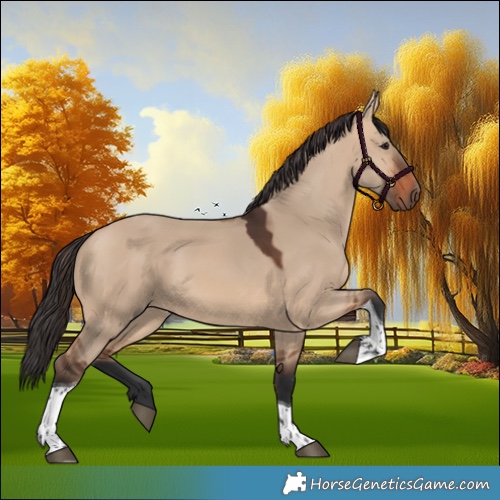 Horse Color:Bay Dun Tobiano 