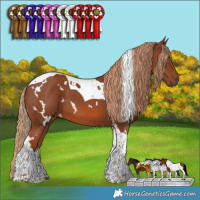 Horse Color:White Spotted Chestnut Tobiano 