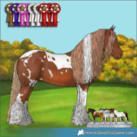 Horse Color:White Spotted Chestnut Tobiano