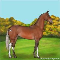 Horse Color:Silver Brown 