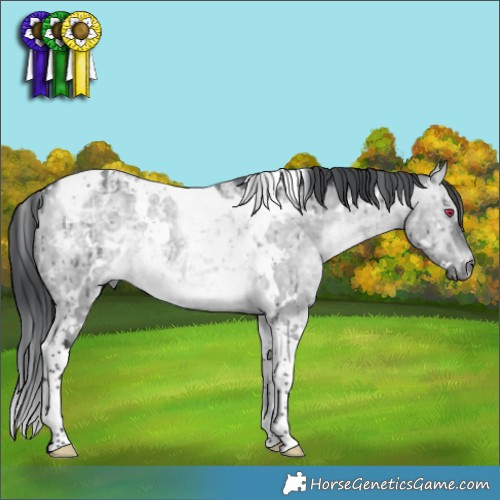 Horse Color:White Spotted Brown Chinchilla Dun Mushroom Tobiano Brindle 