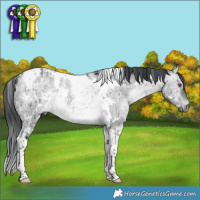 Horse Color:White Spotted Brown Chinchilla Dun Mushroom Tobiano Brindle
