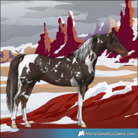 Horse Color:White Spotted Liver Chestnut Tobiano 