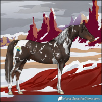 Horse Color:White Spotted Liver Chestnut Tobiano 