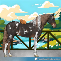 Horse Color:White Spotted Liver Chestnut Tobiano 