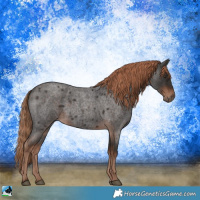 Horse Color:Liver Red Roan Rabicano 