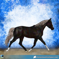 Horse Color:Midnight Liver Chestnut Mushroom 