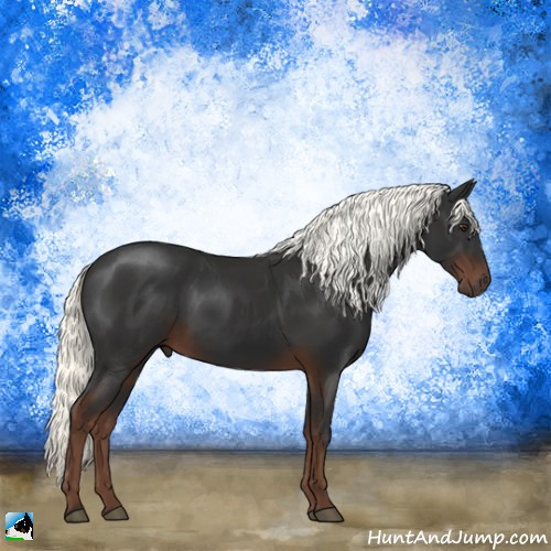 Horse Color:Liver Chestnut Mushroom 