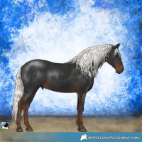 Horse Color:Liver Chestnut Mushroom 