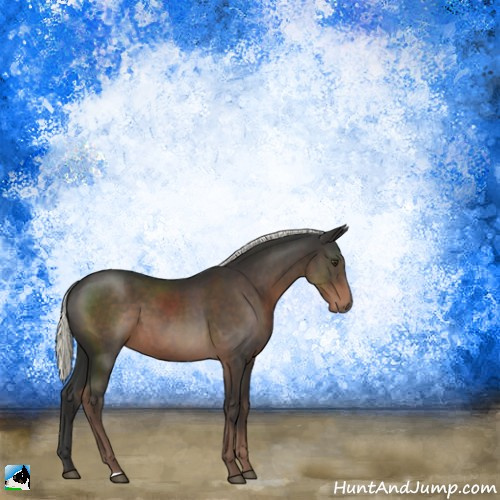 Horse Color:Liver Chestnut Mushroom 