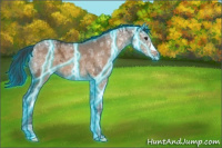 Horse Color:Thunderstruck Brown Ice Dun 