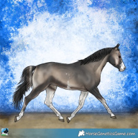 Horse Color:Blue Onyx Sabino Rabicano 