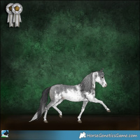 Horse Color:White Spotted Black Sabino Splash Rabicano