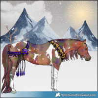 Horse Color:Painted Nacre White Spotted Bay Tobiano