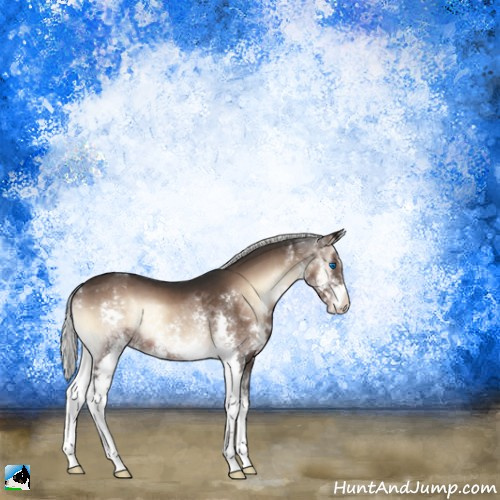 Horse Color:Liver Red Onyx Mushroom Splash 