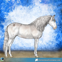 Horse Color:Liver Red Onyx Mushroom Splash Appaloosa