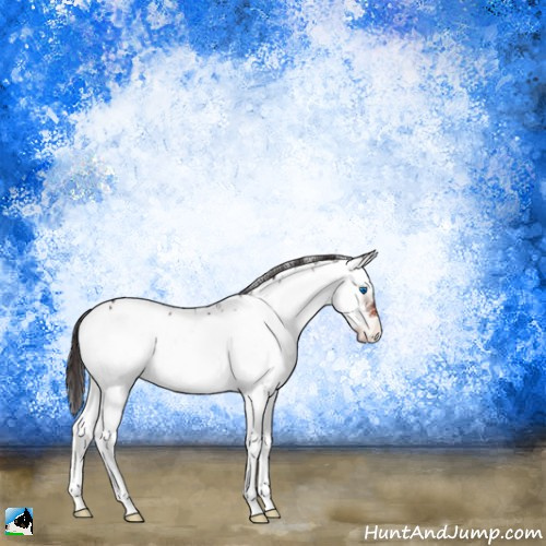 Horse Color:Brown Onyx Sabino Splash Frame Appaloosa 