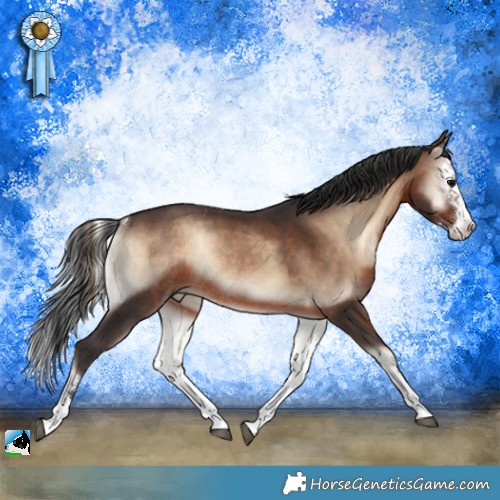 Horse Color:Brown Onyx Mushroom Splash Rabicano 