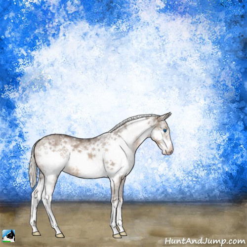 Horse Color:Liver Red Dun Ice Mushroom Splash Frame Brindle 