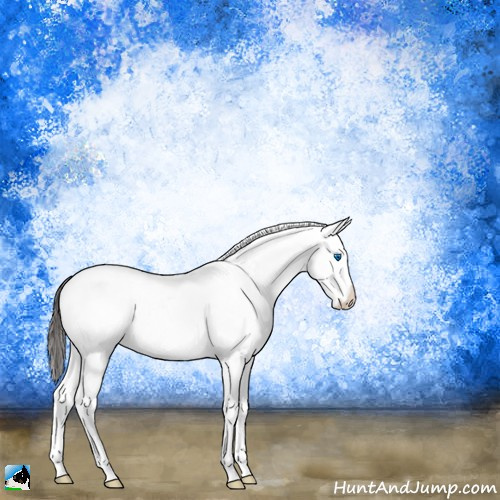 Horse Color:White Spotted Liver Red Onyx Splash 