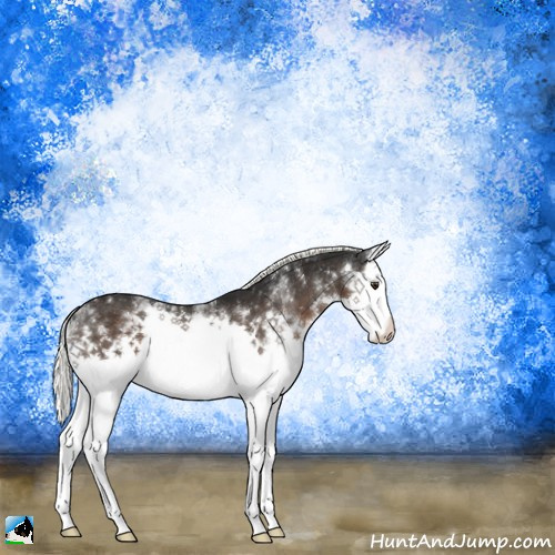 Horse Color:White Spotted Liver Chestnut Mushroom Splash 