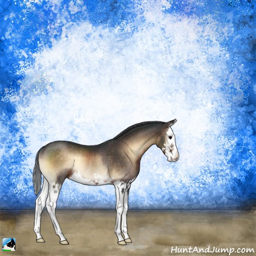 Horse Color:Brown Onyx Splash Rabicano 