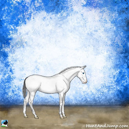 Horse Color:Brown Onyx Sabino Splash 