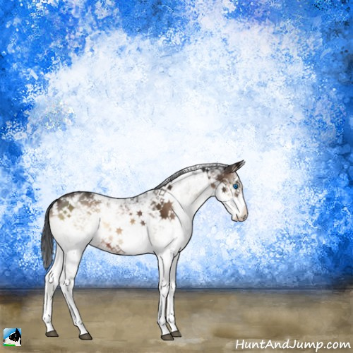 Horse Color:Brown Onyx Sabino Splash 