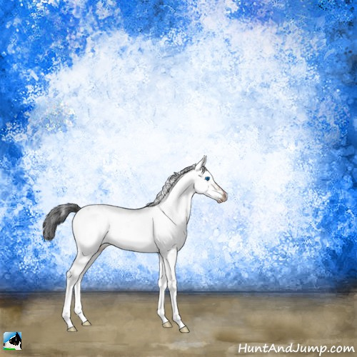 Horse Color:Brown Sabino Splash Frame 