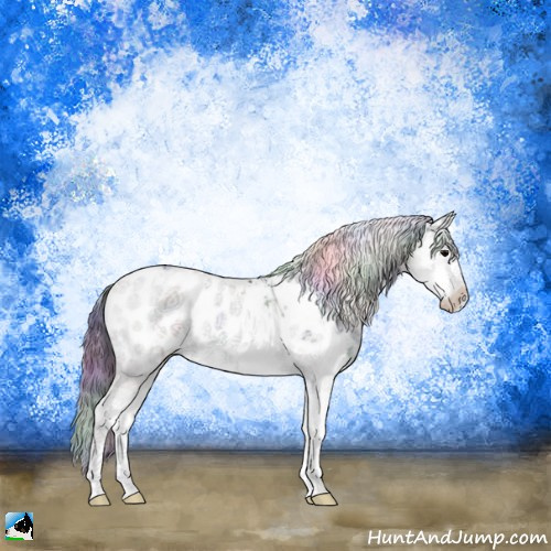 Horse Color:Nacre Black Sabino Appaloosa Rabicano 
