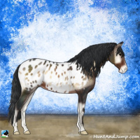 Horse Color:Brown Onyx Near Leopard 