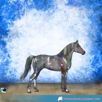 Horse Color:Nacre White Spotted Black Rabicano