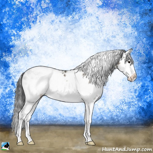 Horse Color:Brown Sabino Splash Rabicano 