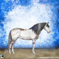 Horse Color:Nacre White Spotted Brown Onyx Frame Rabicano 