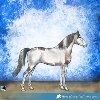 Horse Color:Nacre White Spotted Brown Onyx Frame Rabicano 