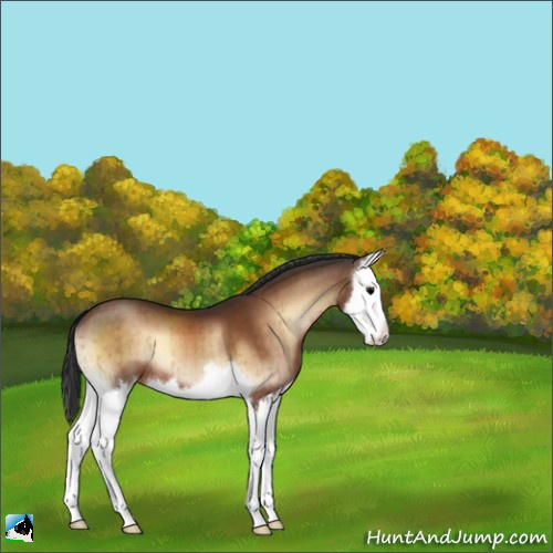 Horse Color:Brown Onyx Splash Brindle 